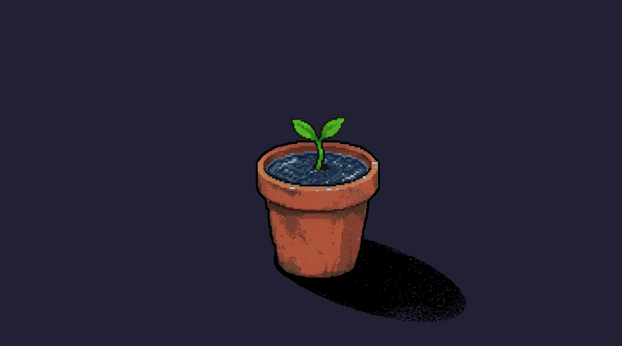 Plan T development GIF